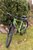 Conway Mountainbike MS 429 Nordrhein-Westfalen - Lemgo Vorschau