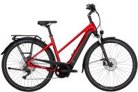 E-Bike Pegasus Premio Evo 10 Lite, Trapez, versch Farben & Größen Niedersachsen - Garrel Vorschau