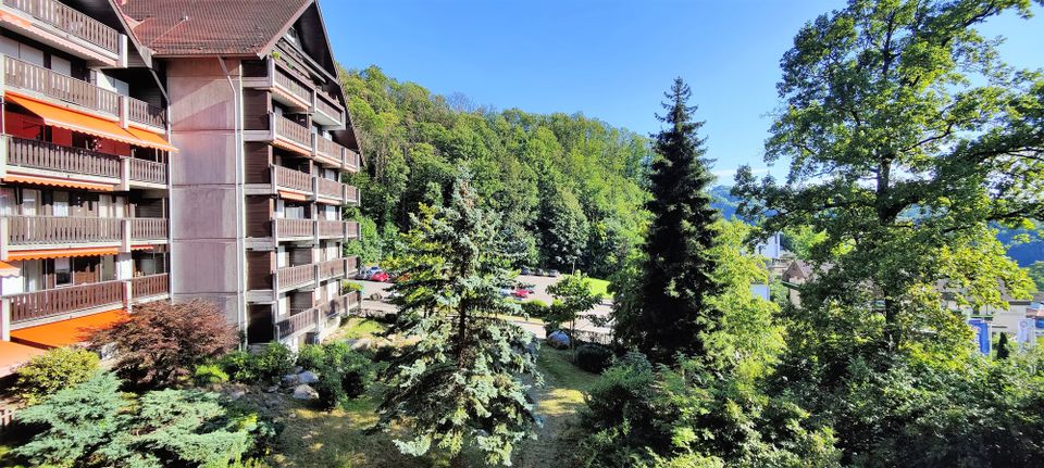 Idyllische 3-Zimmer Etagenwohnung mit herrlichem Ausblick - perfekt zum Wohnen und Entspannen in Sasbachwalden
