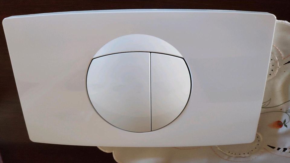 Spülkasten Tastplatte weiß in Lentföhrden