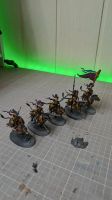 Vanari Dawnriders Warhammer Age of Sigmar teilbemalt Baden-Württemberg - Haslach im Kinzigtal Vorschau