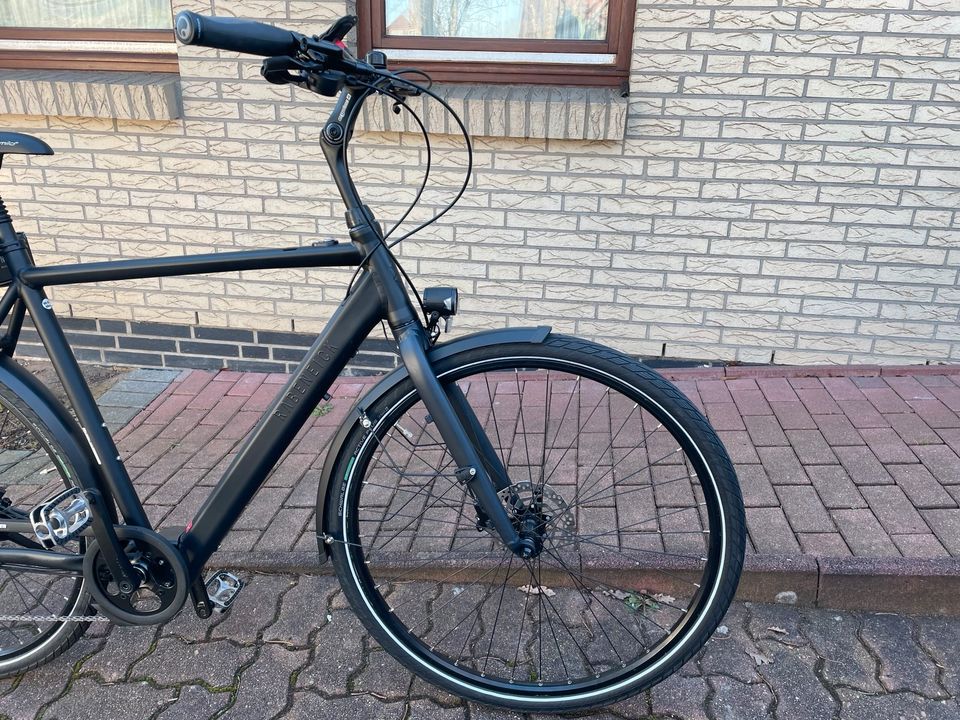E-Bike Rabeneick TC-E Deore XT 10-Gang / Bafang / 252Wh / NEU in Wilster