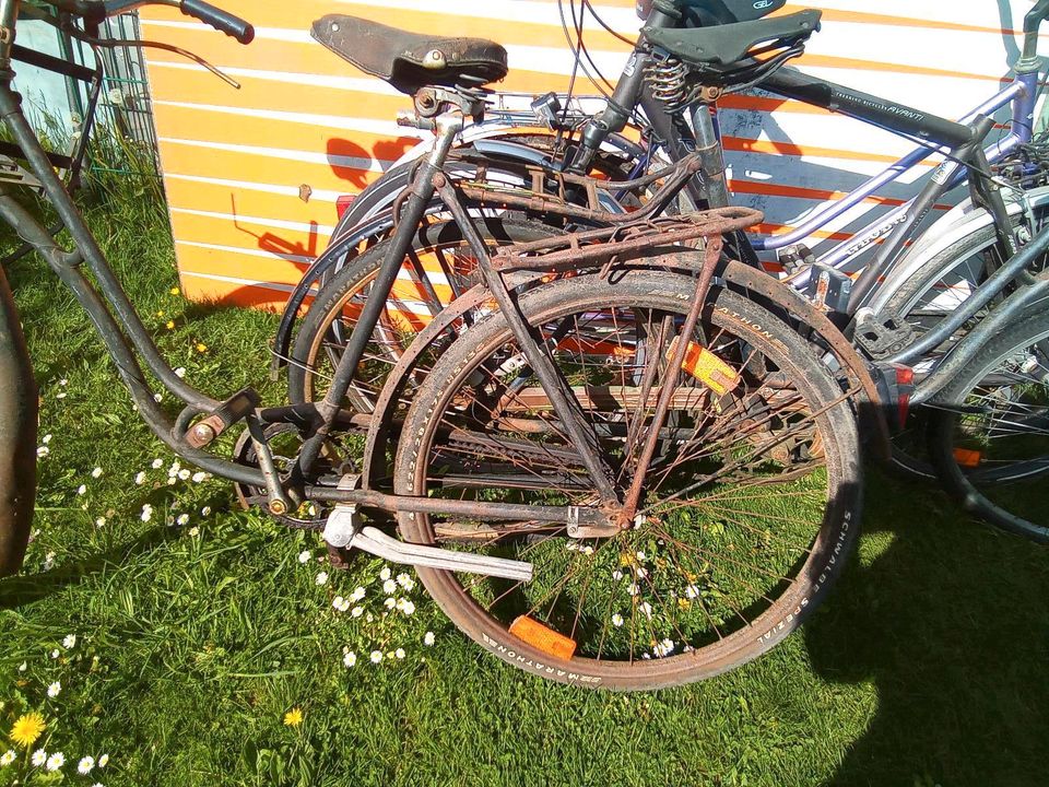 Oldtimer Fahrrad, Rabeneik, Wanderer, Pegasus in Fürstenfeldbruck