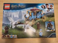 Lego Harry Potter 75958 Baden-Württemberg - Achern Vorschau