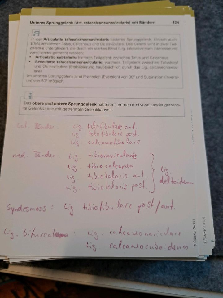 Anatomie Lernkarten Knochen Bänder und Gelenke Sobotta in Heist