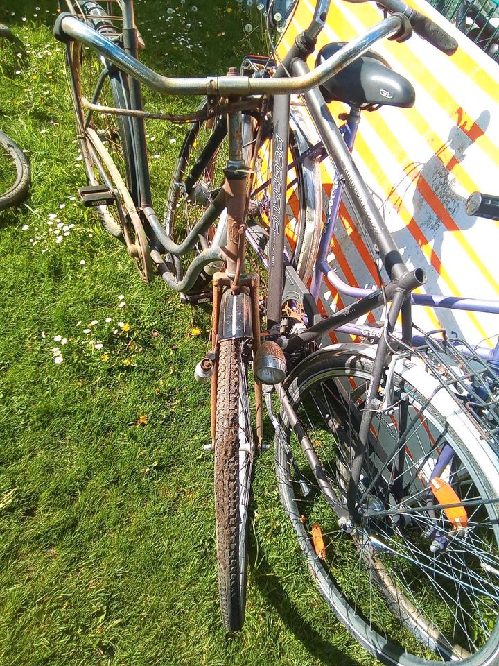 Oldtimer Fahrrad, Rabeneik, Wanderer, Pegasus in Fürstenfeldbruck