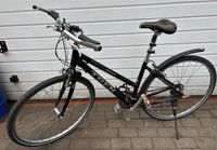 Trek 7300 Fahrrad Damen Herren Niedersachsen - Hohenhameln Vorschau