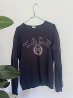 Zara Pulli, Yale, Größe M Bayern - Augsburg Vorschau