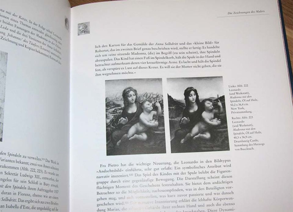 Leonardo Da Vinci - Daniel Arasse - Großer Bildband Dumont Buch in Glanbrücken