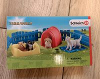 Schleich Welpenschule 42480 Nordrhein-Westfalen - Porta Westfalica Vorschau