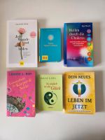 Bücher Louise Susanne Hühn Meditation Selbstheilung spiritualität Berlin - Spandau Vorschau