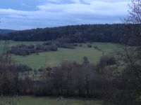 SUCHE Garten Wald Wiese Halle Bayern - Bad Kissingen Vorschau