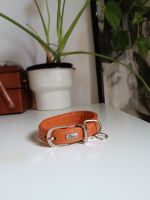 Hund Lederhalsband/Halsband HUNTER (20-28cm; orange) Altona - Hamburg Ottensen Vorschau