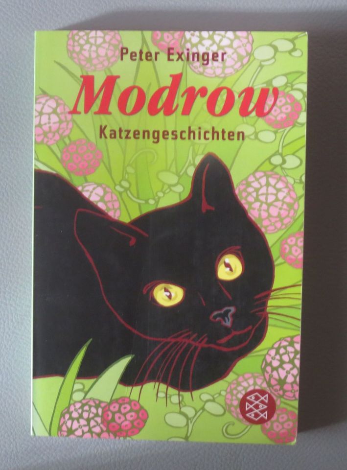 Modrow - Katzengeschichten, von Peter Exinger in Hamburg