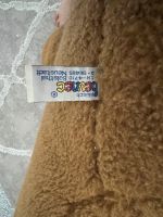 Ein Riesen Teddy Bär Dortmund - Innenstadt-Nord Vorschau