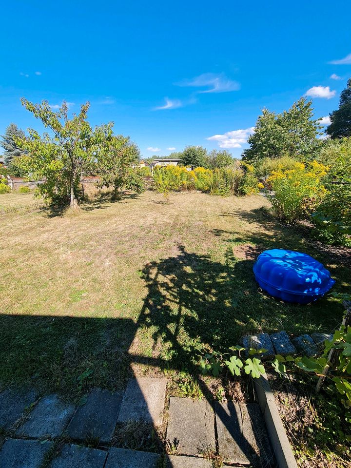 Garten abzugeben in Chemnitz