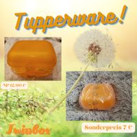 Tupperware Twinbox neu Niedersachsen - Warberg Vorschau