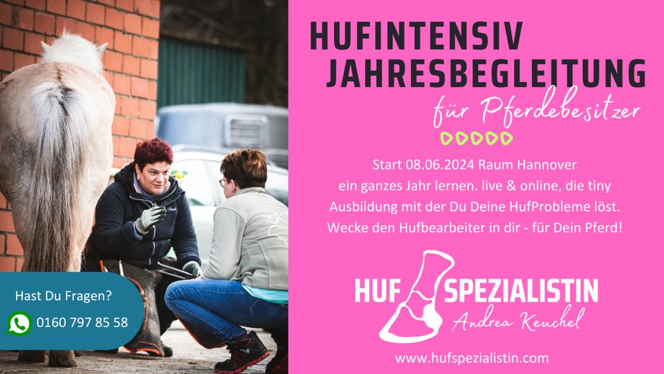 Hufpflege Ausbildung für Pferdebesitzer Raum Hannover ab 8.6.2024 in Rodewald