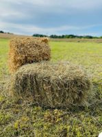 Heu und Stroh in kleinen Bunden / Ballen Ludwigslust - Landkreis - Dömitz Vorschau