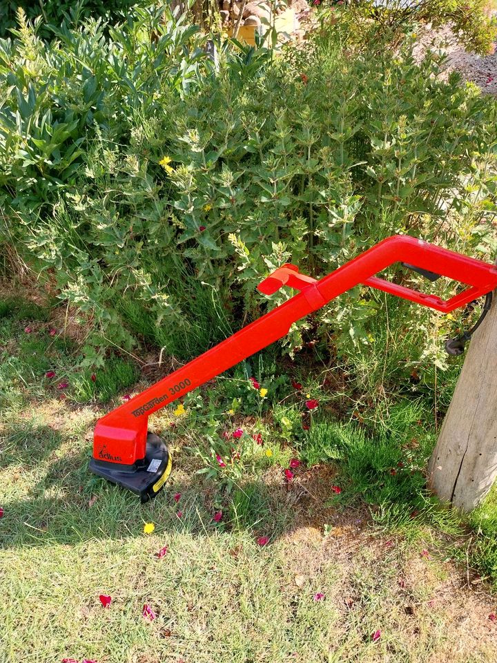 Rasen Trimmer Top Garden 3000 in Kefenrod