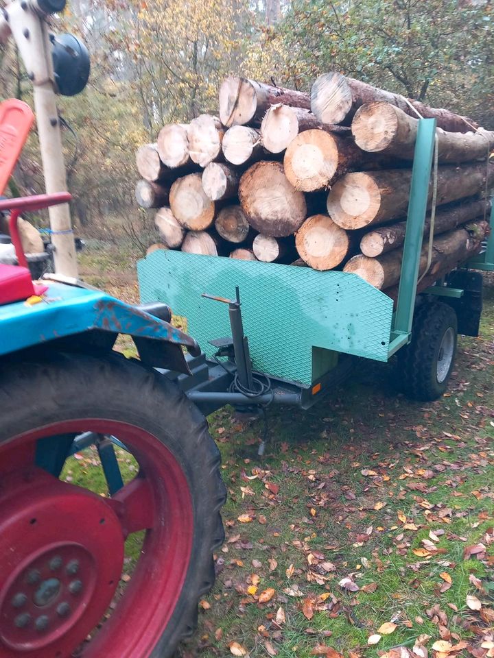 2 Hänger zum Holz transport neue Reifen top Zustand in Zölkow