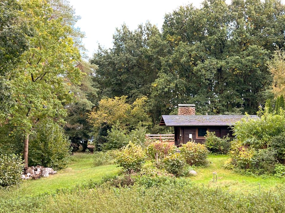 Bezauberndes Holzhaus am Brahmsee mit einmaligem Ausbaupotential in Neumünster