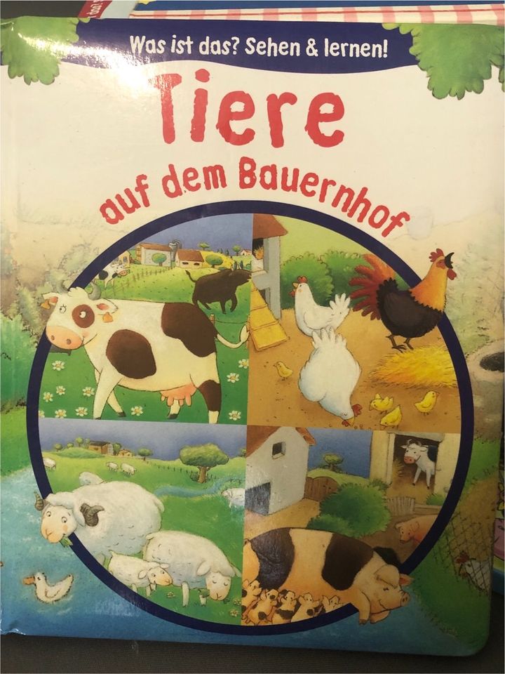Kinderbuch Tiere in Mainz