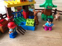 Lego Duplo Wildtiere Set 10582 Hessen - Bruchköbel Vorschau