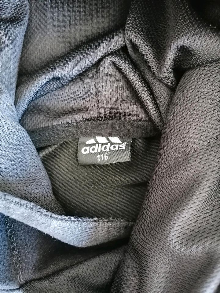 Adidas Jogginganzug Gr. 116 in Schwabmünchen