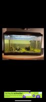 Juwel Aquarium 57 Liter Ggf.Tausch Hessen - Lohfelden Vorschau