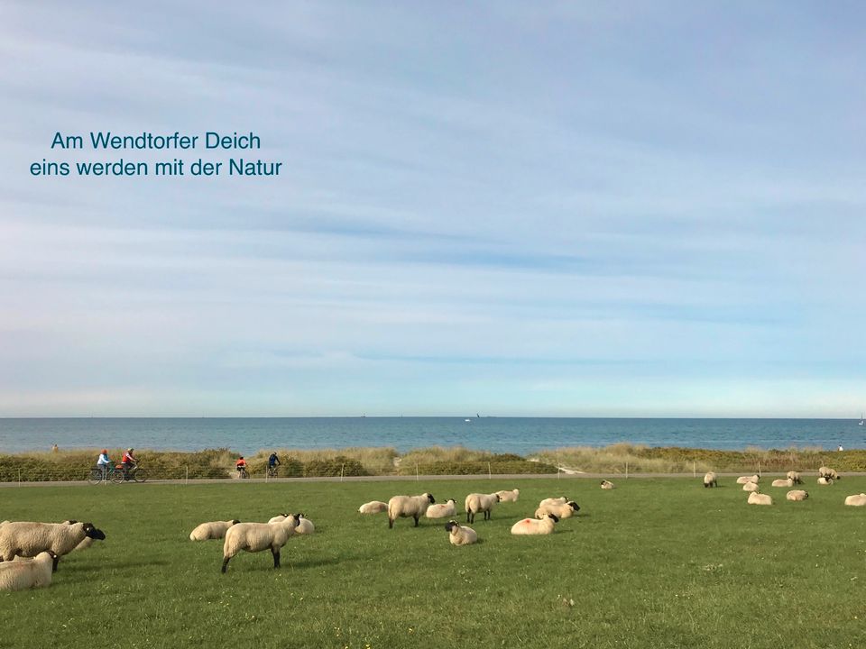 Prima Ferienwohnung mit Hund AF Ostsee 150m Balkon Wendtorf ab in Wendtorf