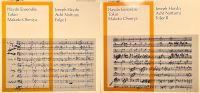 Vinyl: Haydn Ensemble Tokio, Acht Notturni I + II (2 LPs, rar) Hessen - Oberursel (Taunus) Vorschau