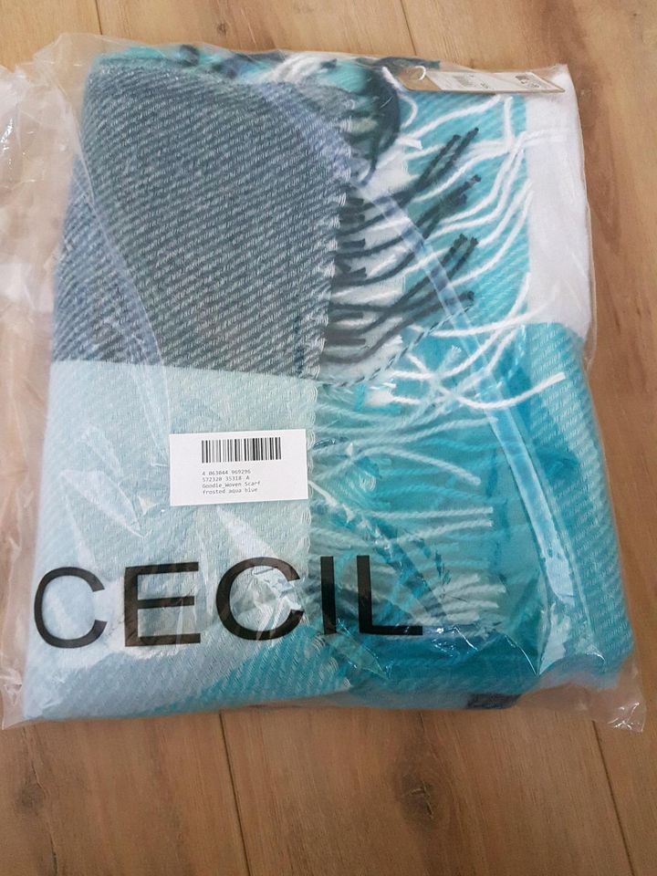 Schal Fransenschal von Cecil NEU frosted aqua blue cosy Schal in Hessen -  Mörlenbach | eBay Kleinanzeigen ist jetzt Kleinanzeigen