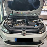 VW Audi Seat Skoda 2,0TDI Motorinstandsetzung alle Modelle Nordrhein-Westfalen - Halle (Westfalen) Vorschau