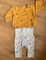 Staccato Set Shirt Hose Gr. 62 Nordrhein-Westfalen - Ascheberg Vorschau