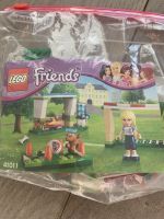 Lego Friends 41011 Fußballtraining mit Stephanie Hund Düsseldorf - Gerresheim Vorschau