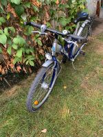 Kinder/Jugend Fahrrad Bonn - Buschdorf Vorschau