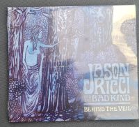 Jason Ricci CD Saarland - Schiffweiler Vorschau