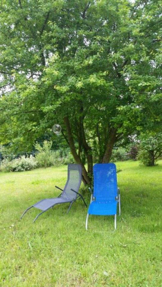 Ferienhaus Schlei Ostsee 8 Pers, Sauna, Kamin, Hunde, Zaun in Oersberg