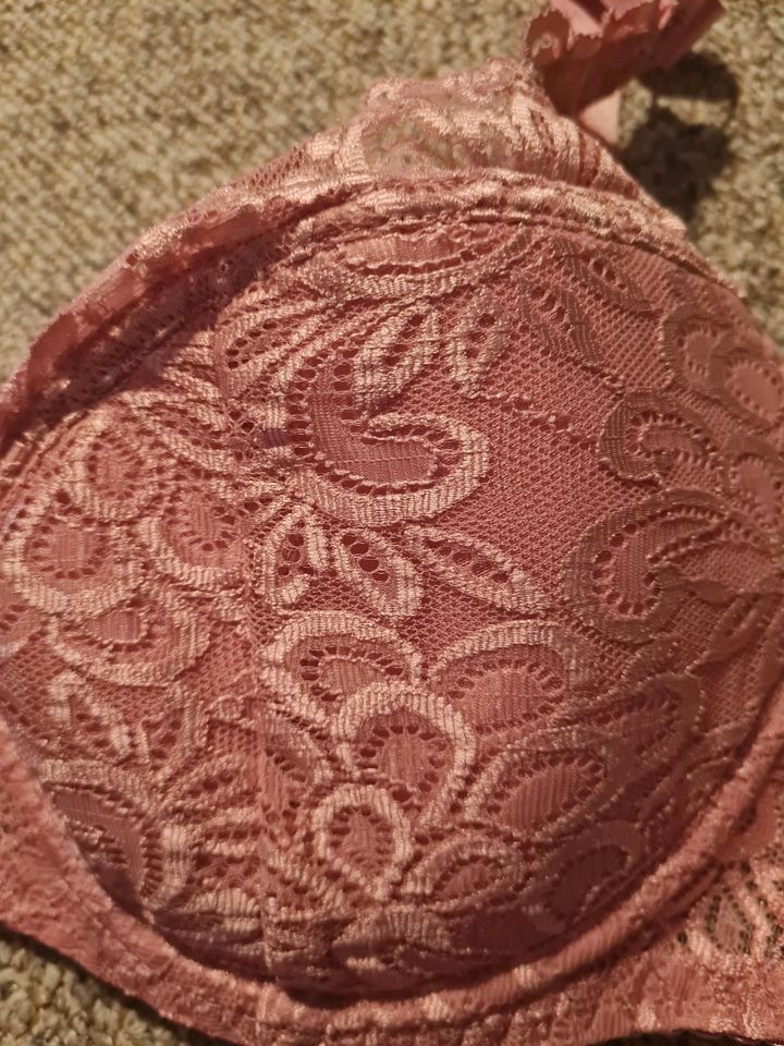 Push up Bh pink lila gr. 75E neu in Borken