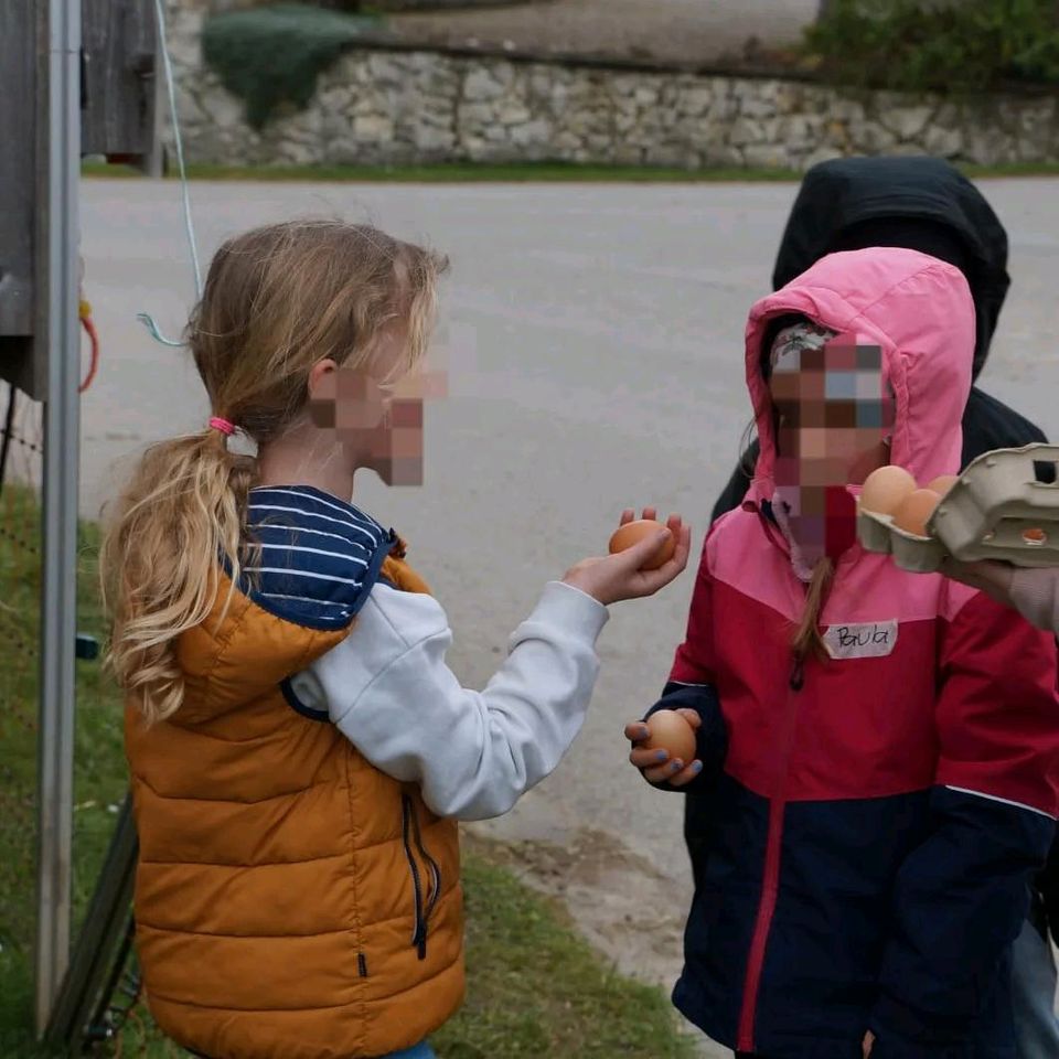 Kindergeburtstag auf dem Bauernhof in Kirchheim in Schwaben