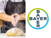 Koch in der Kantine (m/w/d), Bayer Gastronomie GmbH Elberfeld - Elberfeld-West Vorschau