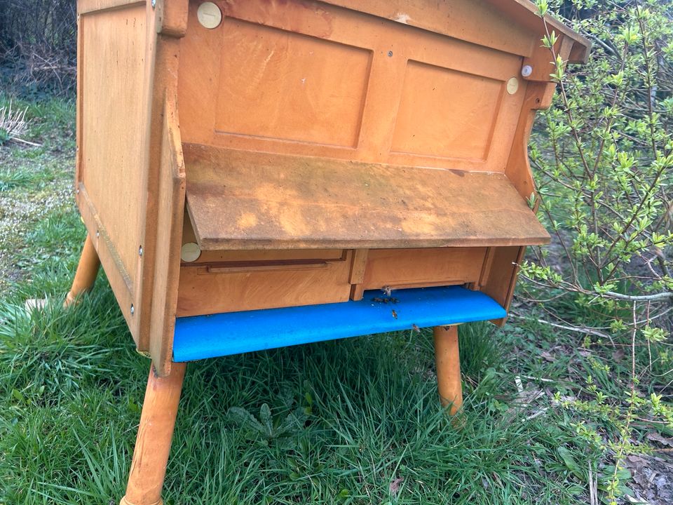 Bienenvolk Wirtschaftsvolk mit Bremer Beute (Golz/ Kuntzsch hoch) in Celle