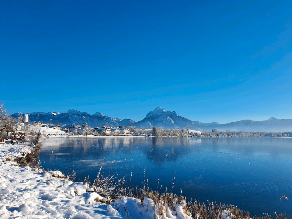 Ferienwohnung Hopfen am See Füssen Allgäu Bayern Hund FEWO in Füssen