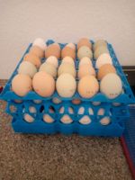 Eier, frische Eier, Ostern, Freilandeier, Direktvermarktung Niedersachsen - Friesoythe Vorschau