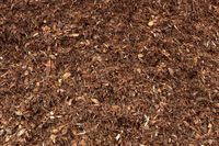 Rindenmulch fein 0-20 mm Preis pro m³ (35 EUR/m³) Rheinland-Pfalz - Boppard Vorschau