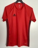 Adidas T-Shirt und Adidas Sporthose, Größe S Baden-Württemberg - Pforzheim Vorschau