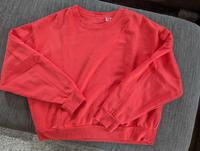 ♡ roter Levi's Pullover ♡ Nordrhein-Westfalen - Herford Vorschau