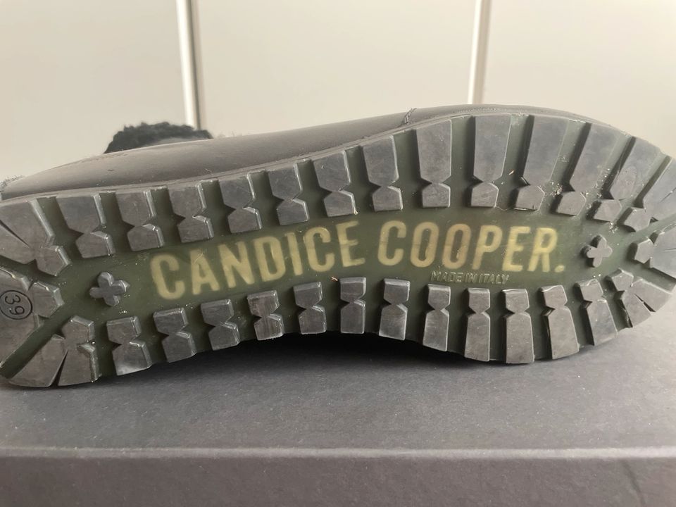 Candice Cooper Damenschuhe Gr. 39 in Erzhausen