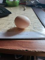 Ich Verkaufe  Eier Niedersachsen - Wriedel Vorschau